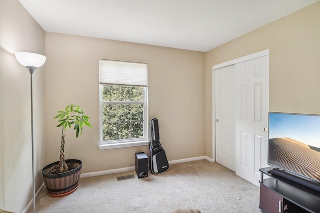 misc room featuring carpet floors