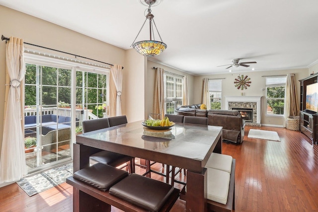 dining space featuring crown molding, hardwood / wood-style floors, and ceiling fan