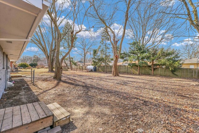 view of yard