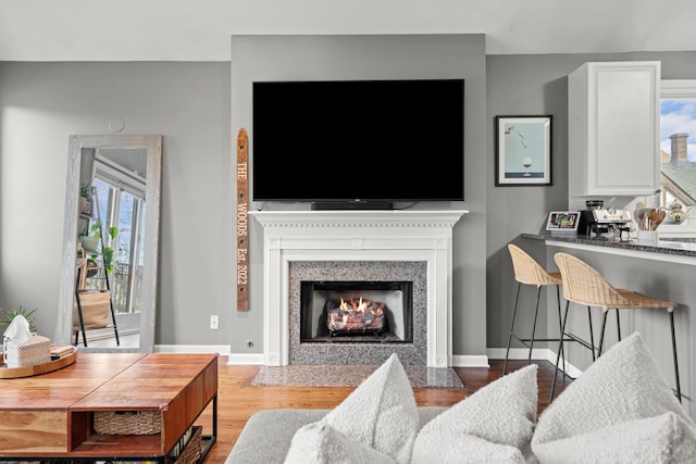 living room with light wood-type flooring