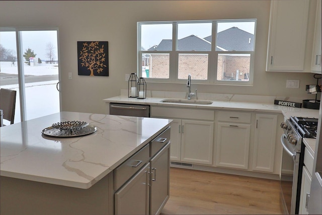 kitchen with a sink, plenty of natural light, light wood finished floors, and stainless steel appliances