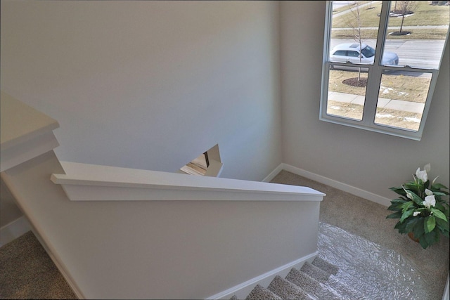 stairs with baseboards and carpet floors