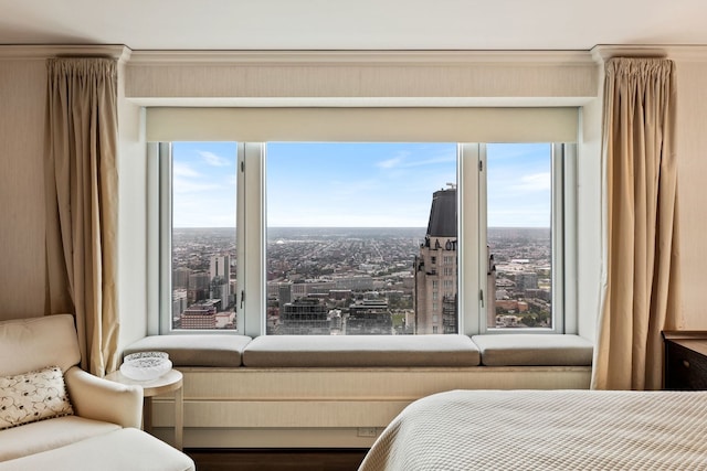 bedroom with multiple windows