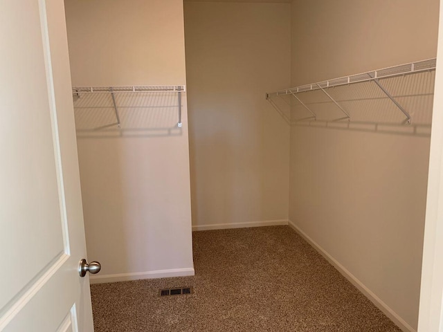 walk in closet featuring carpet floors