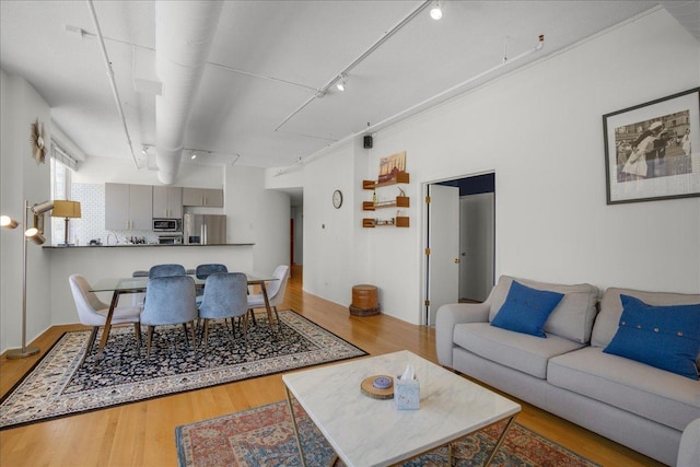 living room featuring light hardwood / wood-style flooring and track lighting