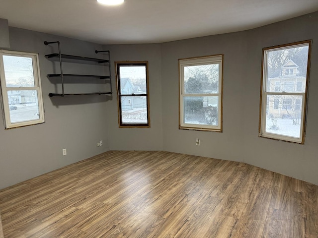 empty room featuring hardwood / wood-style flooring and plenty of natural light