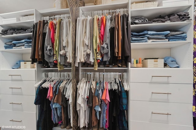 view of walk in closet