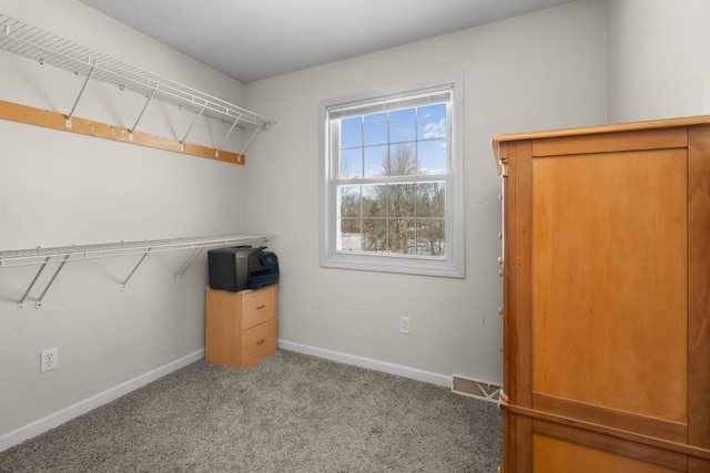 walk in closet with light colored carpet