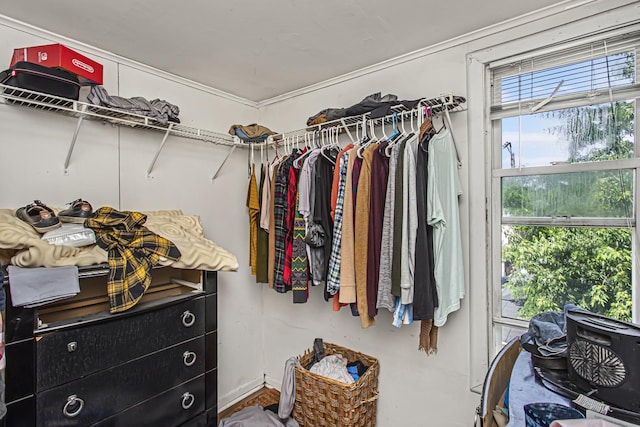 view of spacious closet