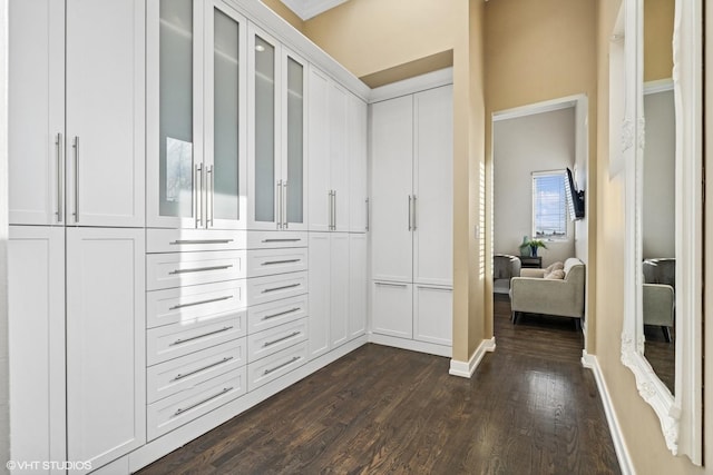 spacious closet featuring dark wood finished floors