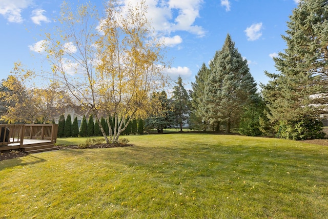 view of yard featuring a deck