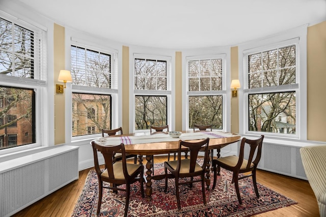 sunroom with radiator heating unit