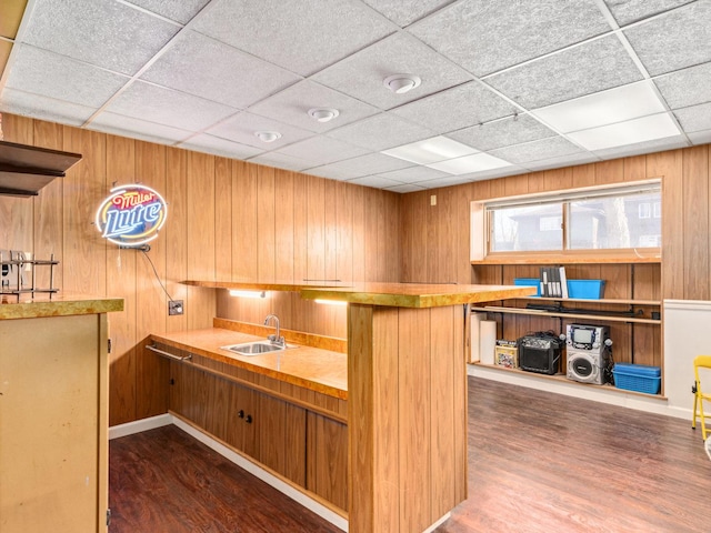 bar featuring a sink, dark wood finished floors, and wood walls