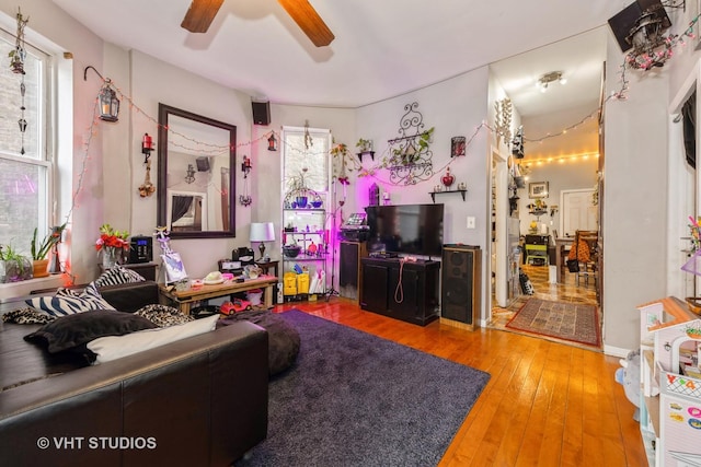 living area featuring ceiling fan, hardwood / wood-style floors, and a healthy amount of sunlight