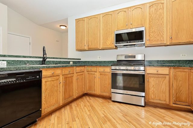 kitchen with a sink, light wood-type flooring, and appliances with stainless steel finishes