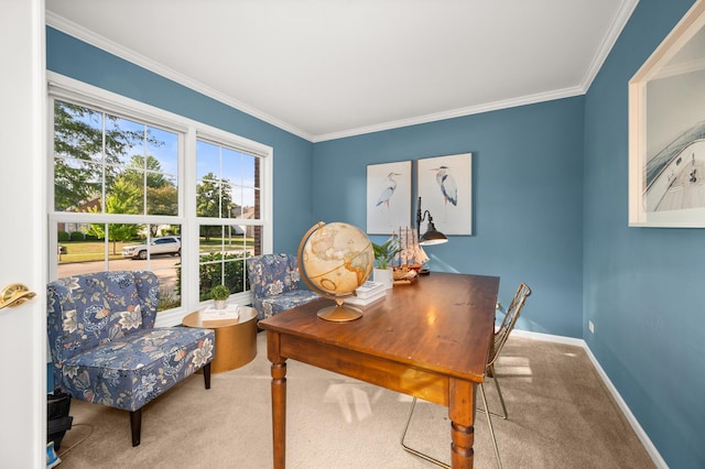 3444 Owens Ln, Dekalb, IL 60115 - carpeted office space with ornamental molding and baseboards