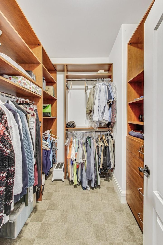 spacious closet featuring light colored carpet