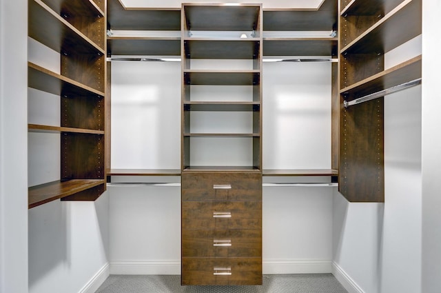 spacious closet featuring carpet flooring