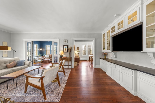 living room featuring plenty of natural light, dark wood finished floors, a baseboard radiator, and crown molding