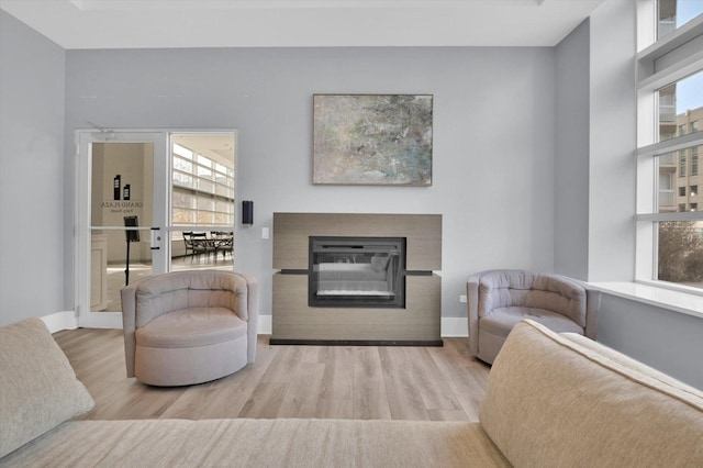 living room with light hardwood / wood-style floors