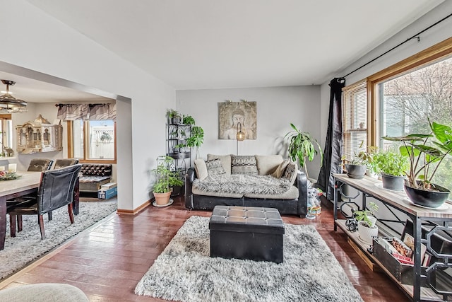 living room with dark hardwood / wood-style flooring