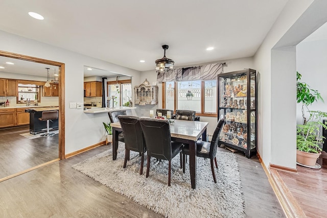 dining room with wood-type flooring