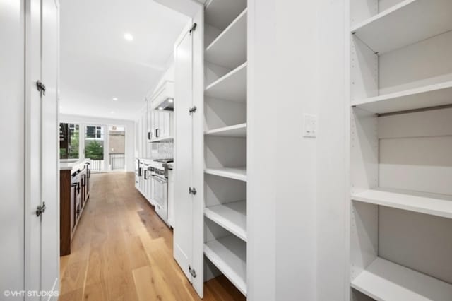 spacious closet featuring light wood finished floors