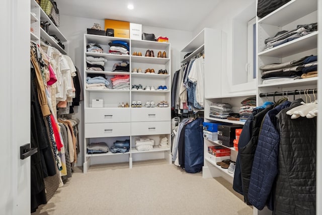 spacious closet featuring light colored carpet