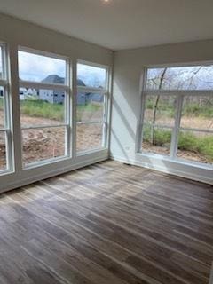 interior space featuring plenty of natural light and wood finished floors
