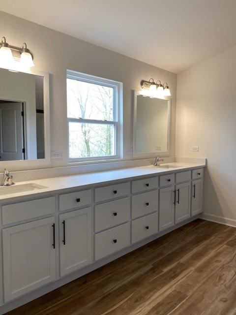 full bath with wood finished floors, double vanity, and a sink