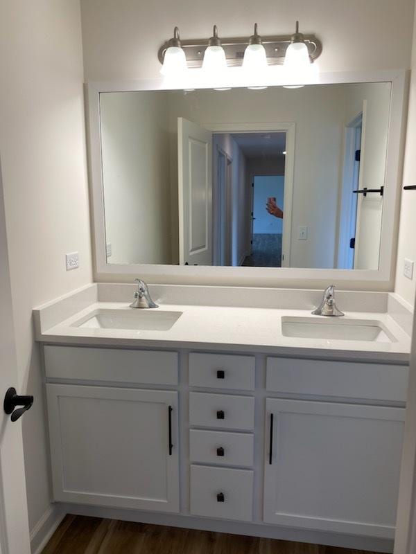bathroom with wood finished floors, a sink, and double vanity
