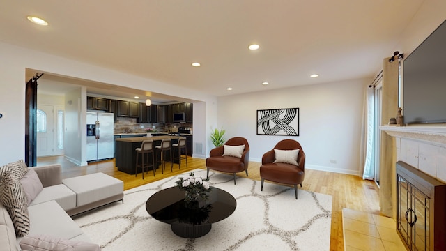 living room featuring a fireplace and light hardwood / wood-style floors