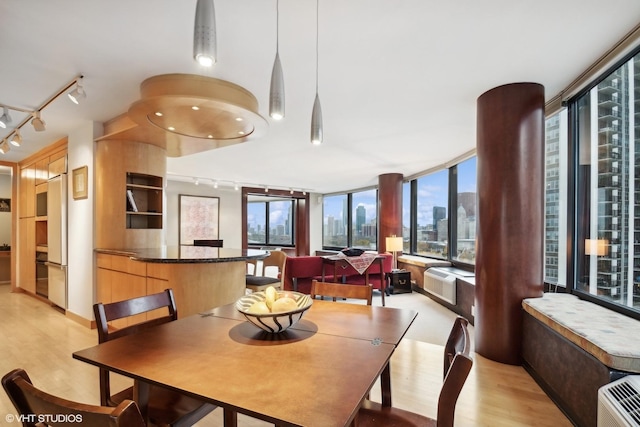 dining room featuring rail lighting and light hardwood / wood-style flooring