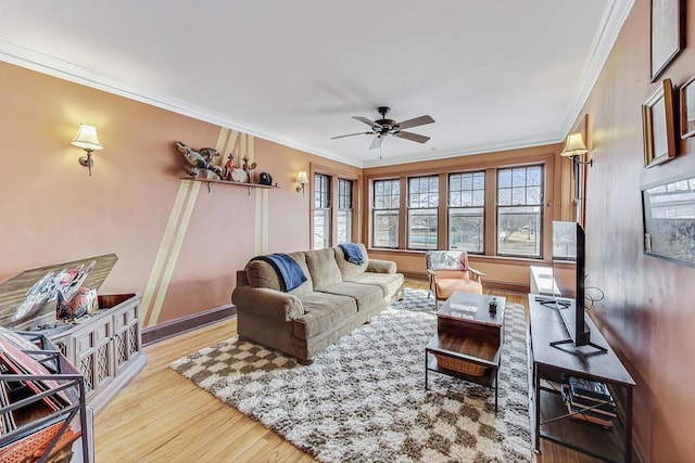 living room featuring crown molding, ceiling fan, and light wood-type flooring