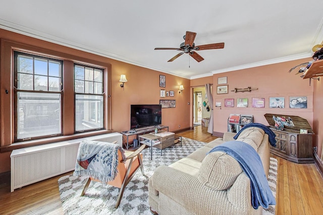 living room with radiator, light hardwood / wood-style flooring, ornamental molding, and ceiling fan