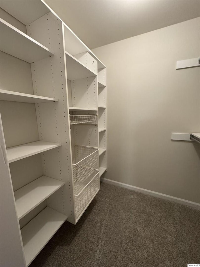 spacious closet with dark colored carpet