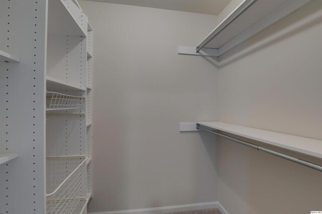 view of spacious closet
