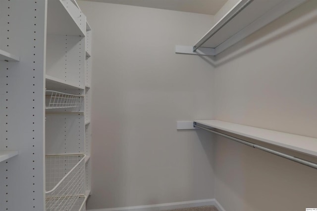 1501 Gayla Dr, Quincy, IL 62305 - view of walk in closet