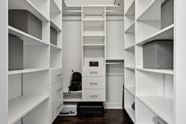 spacious closet with dark hardwood / wood-style floors