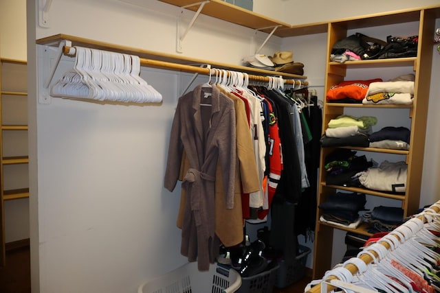 view of walk in closet