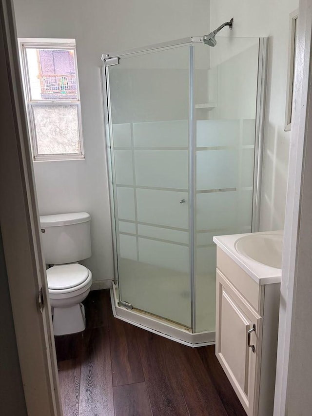 2245 W 23rd St, Chicago, IL 60608 - bathroom featuring wood finished floors, toilet, vanity, and a shower stall
