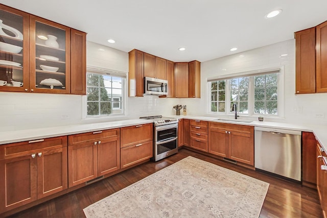 kitchen with stainless steel appliances, dark wood-style flooring, a sink, and glass insert cabinets