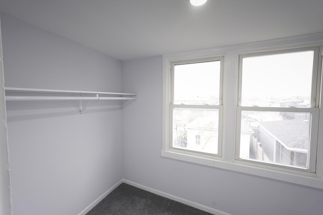 walk in closet featuring carpet flooring