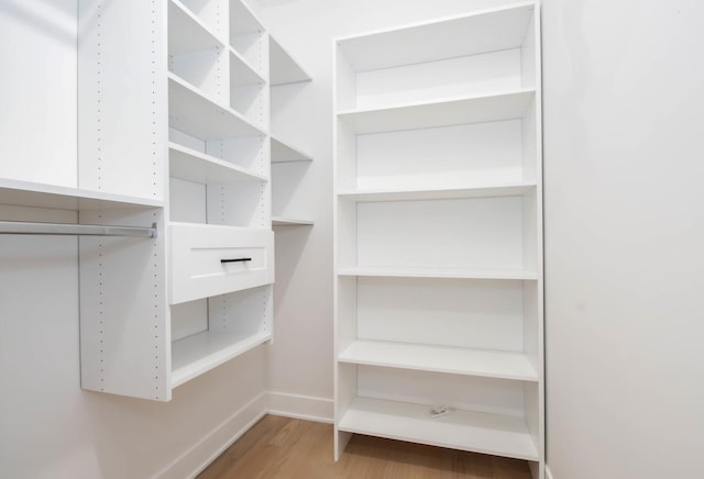 spacious closet featuring wood-type flooring