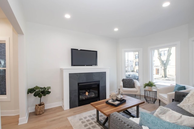 living room featuring a fireplace and light wood-type flooring