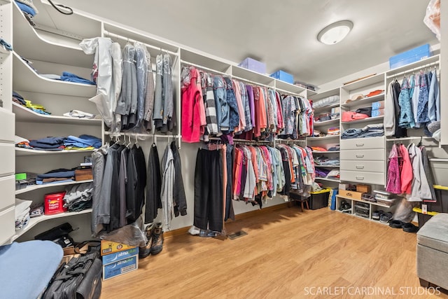 spacious closet with light wood-type flooring