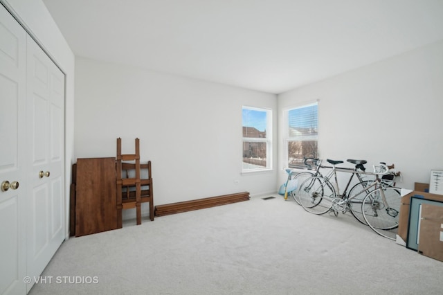 miscellaneous room featuring carpet