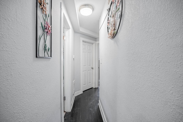 hall with dark hardwood / wood-style flooring