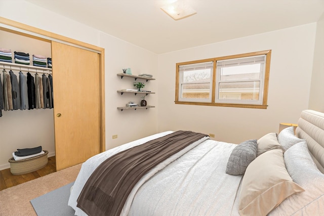 bedroom featuring wood-type flooring and a closet