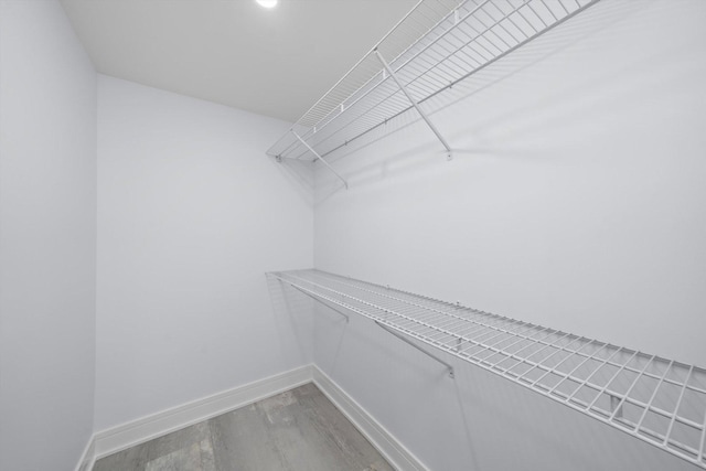 walk in closet with wood-type flooring